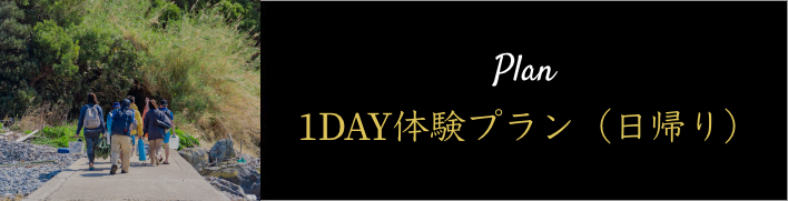 1DAY体験プラン（日帰り）