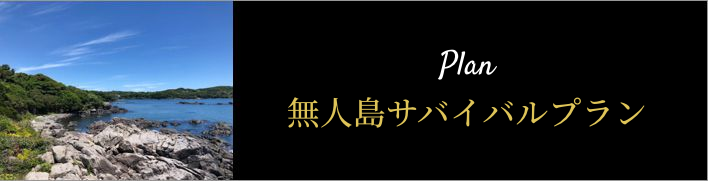 無人島サバイバルプラン