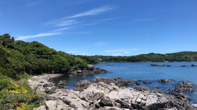 無人島サバイバルプラン
